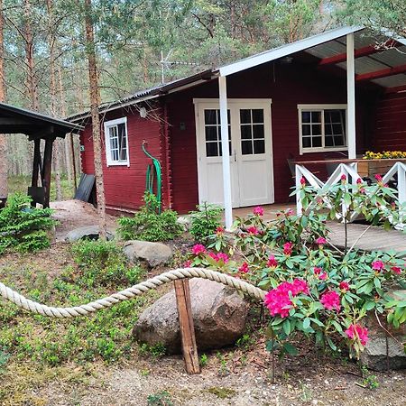 Nova Madise Guesthouse Раннакюла  Екстер'єр фото
